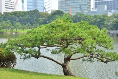 DSC_3391 (Large).JPG